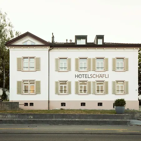 Hotel Schaefli-3